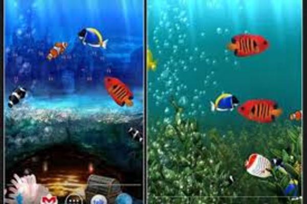 Sử dụng video cá nhân làm hình nền màn hình khóa độc đáo